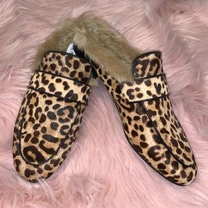 Steve Madden leopard mules